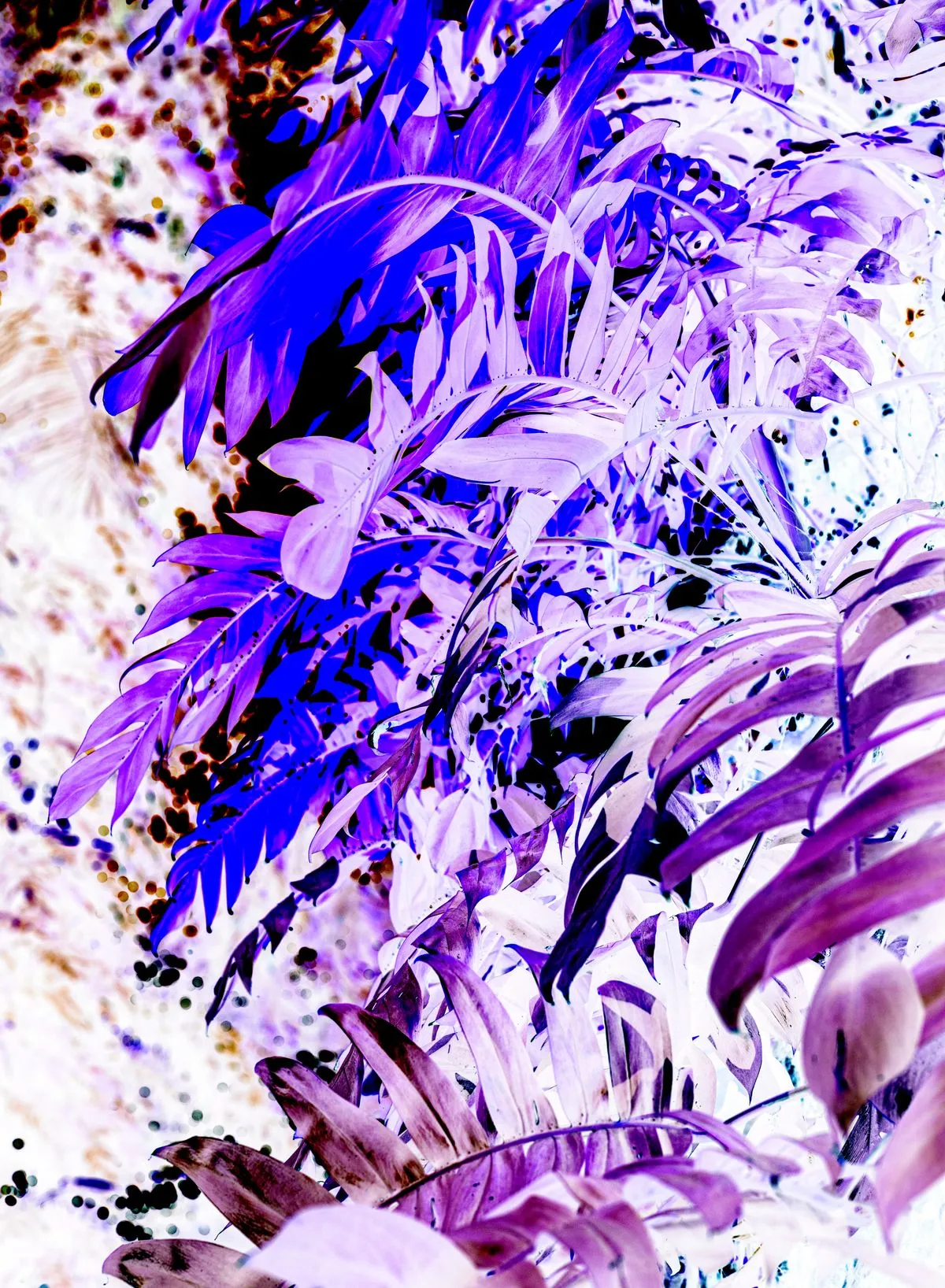 Plant exhibition