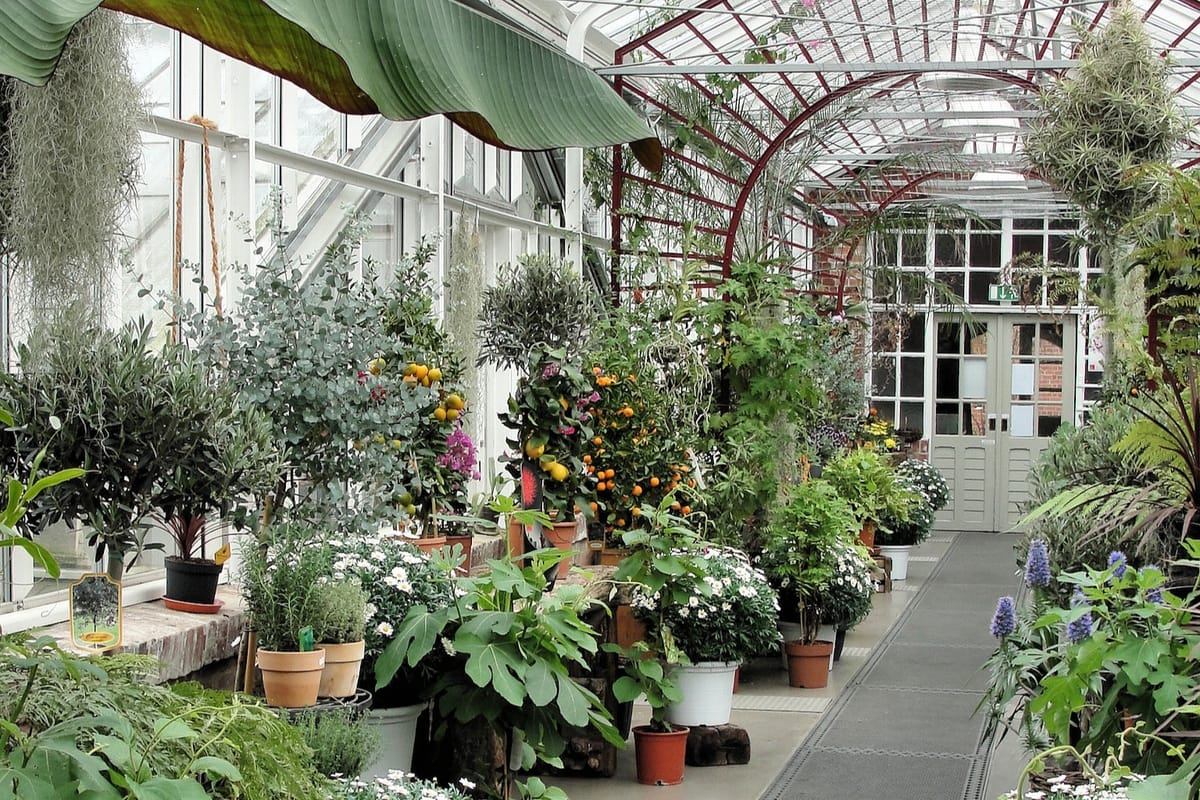 Besuch der Königlichen Gartenakademie