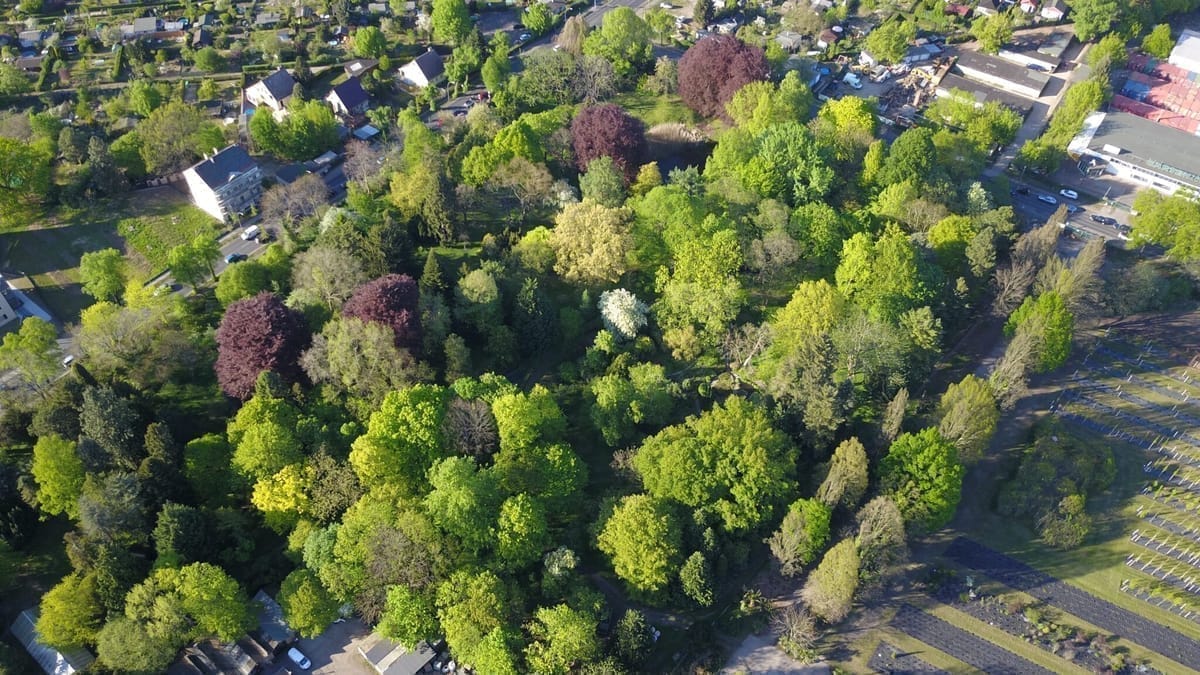 Besuch Späth-Arboretum