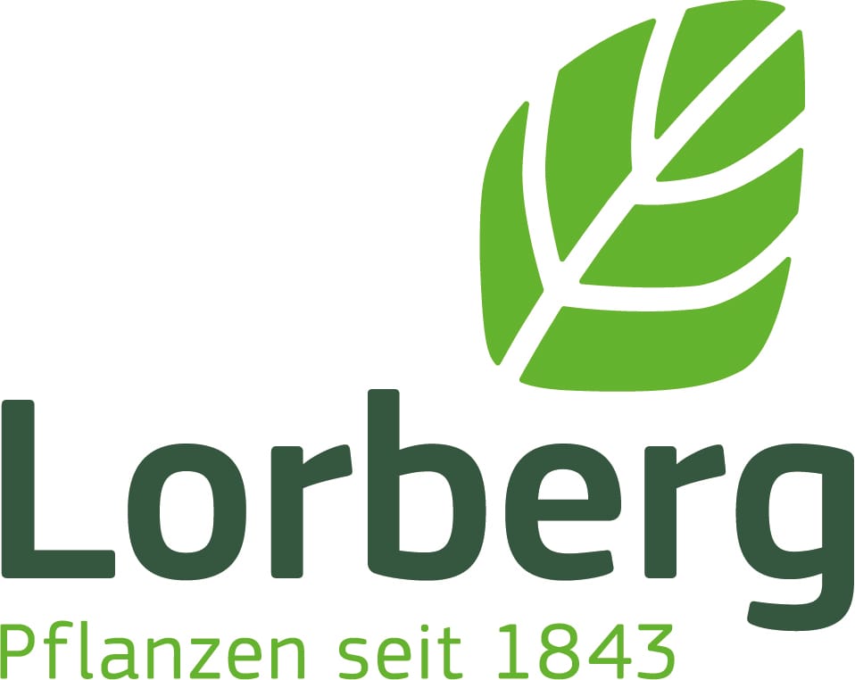 Lorberg Quality Plants GmbH & Co. KG