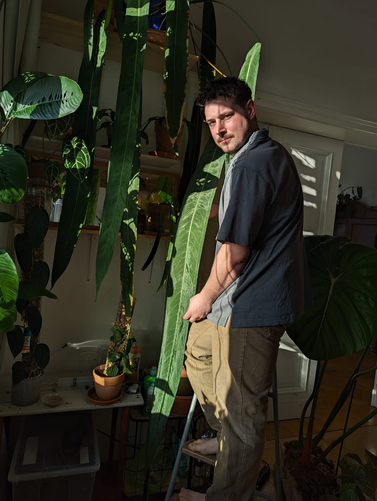 Robin Schlemann